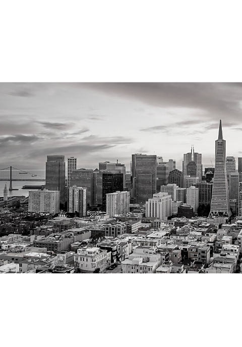 San Francisco skyline in black and white