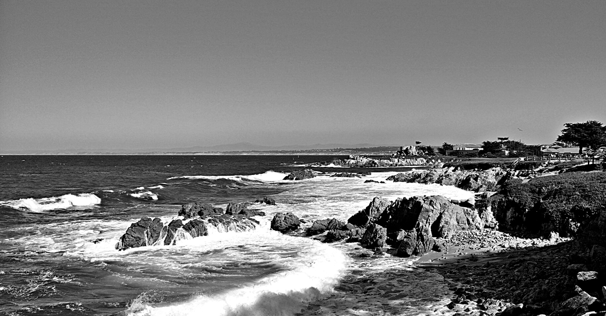 Shoreline of a beach